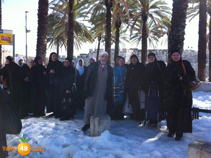 yaffa byareq (5).jpg